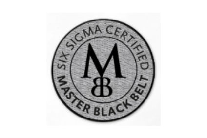 Master Black Belt certification with Training-six-sigma-master-black-belt.jpg