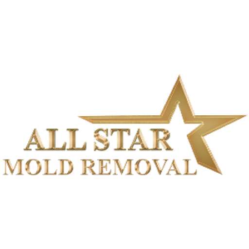 All Star Mold Removal